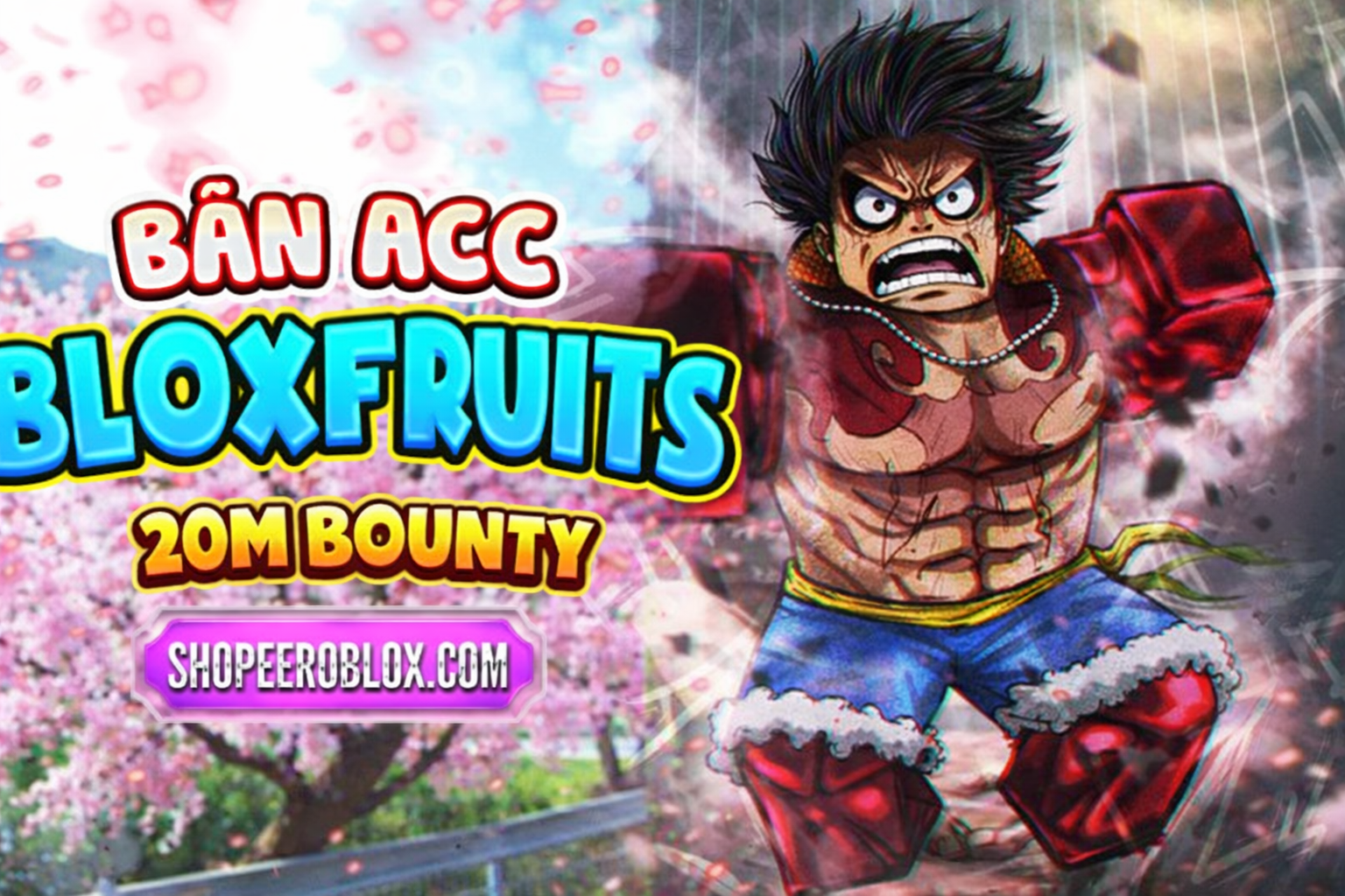 Acc 20M Bouty
