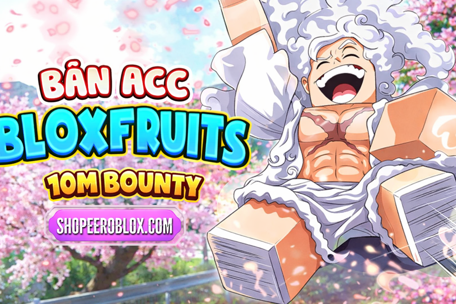 Acc 10M Bouty